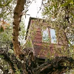 Myrto Holiday home Kyparissia