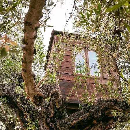 Myrto Hébergement de vacances Kyparissia