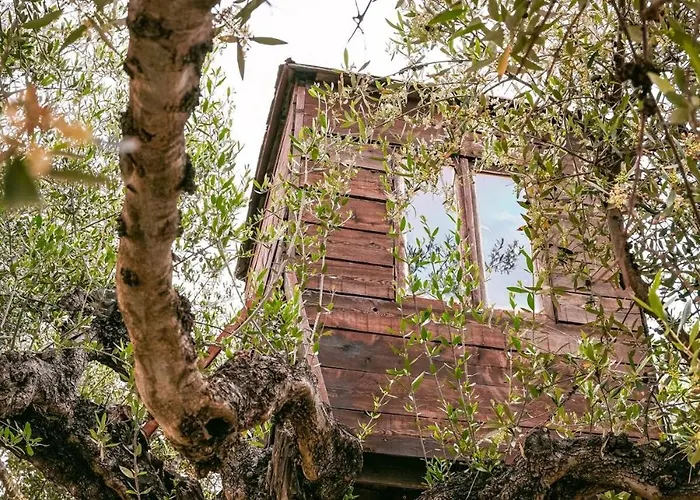 Myrto بيت للعطل كيوبارِسِيا