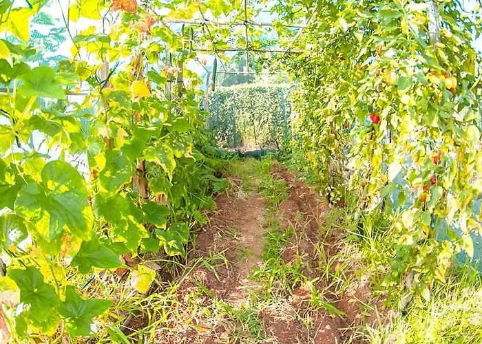 Myrto Feriehus Kyparissia